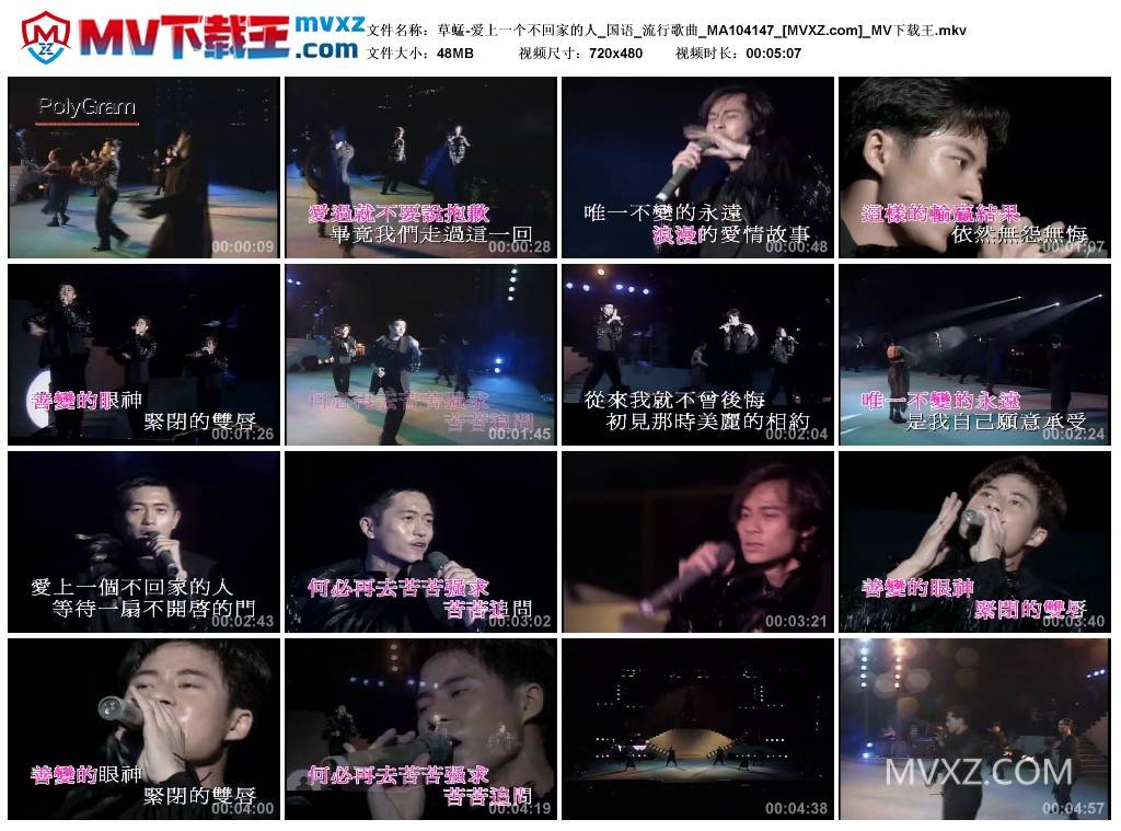 草蜢-爱上一个不回家的人_国语_流行歌曲_MA104147